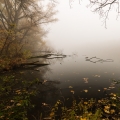 Mlha nag rybníkem