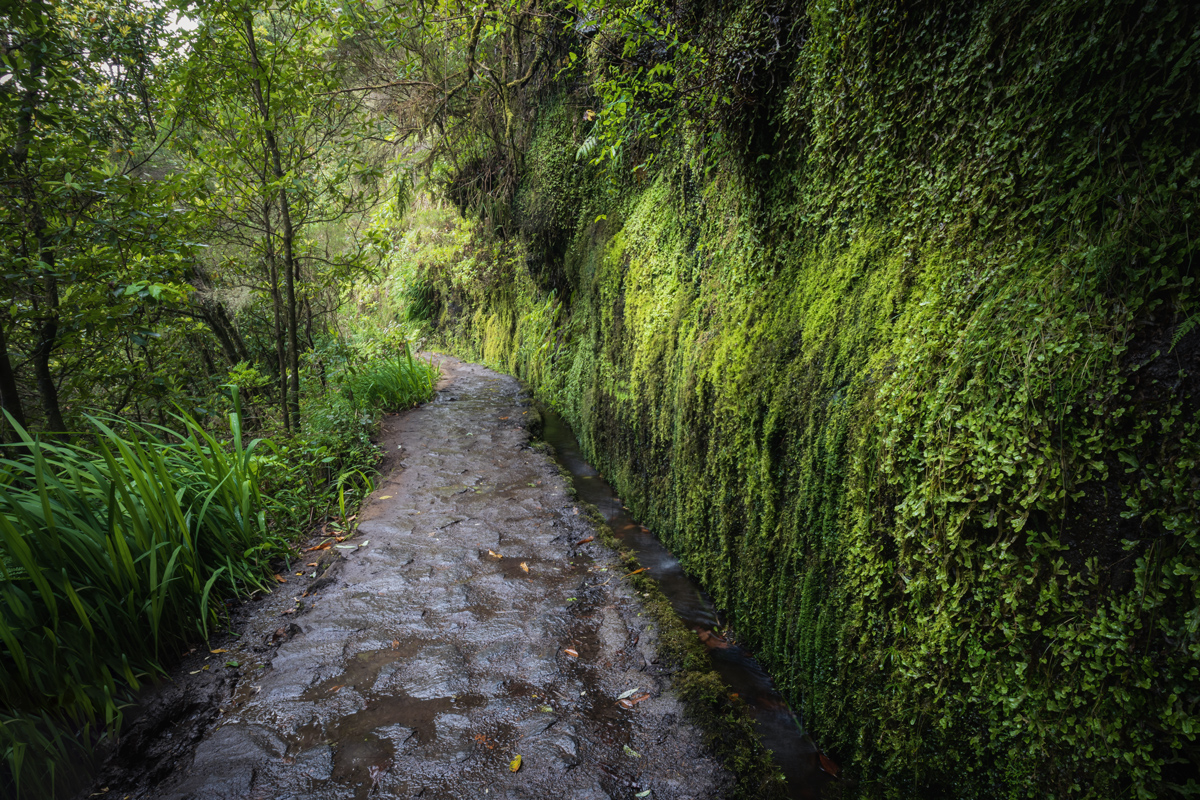 Levada do Caldeirao Verde