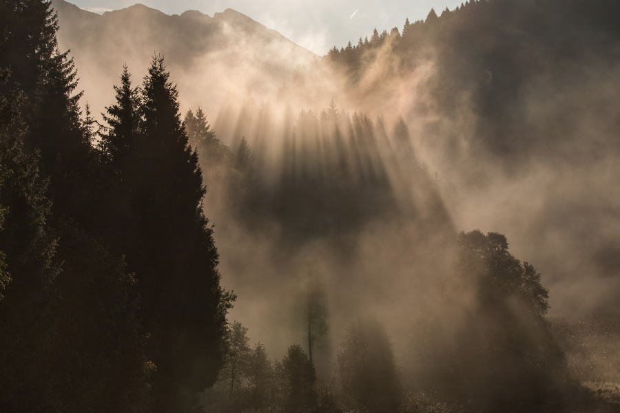 Ráno na Geroldsee II