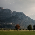 Neuschwanstein I