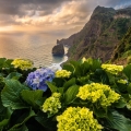Rozkvetlá jarní Madeira